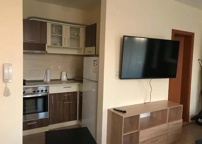 студио приятели *